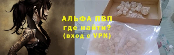 СК Сясьстрой