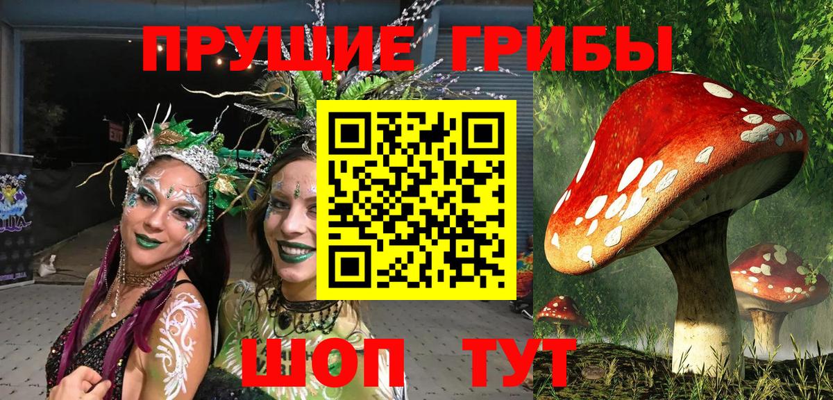 где купить наркоту  Вход с VPN  Баксан  Галлюциногенные грибы Psilocybe 