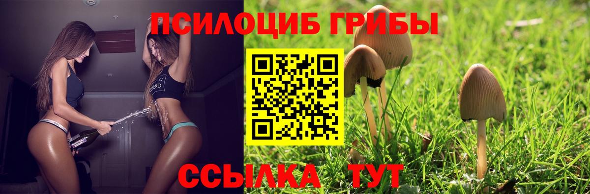 Галлюциногенные грибы MAGIC MUSHROOMS Баксан